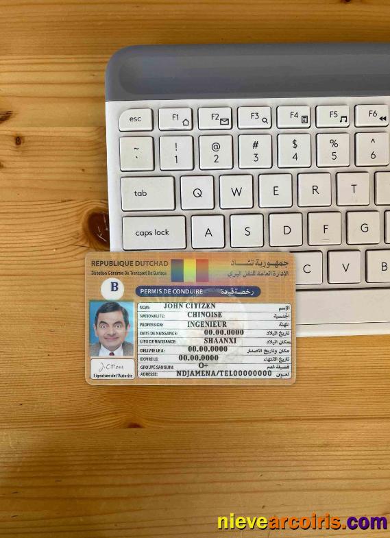 Chad Republique Dutchad driving license photolook